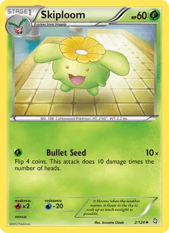 Skiploom