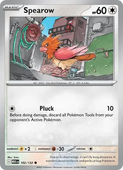 Spearow