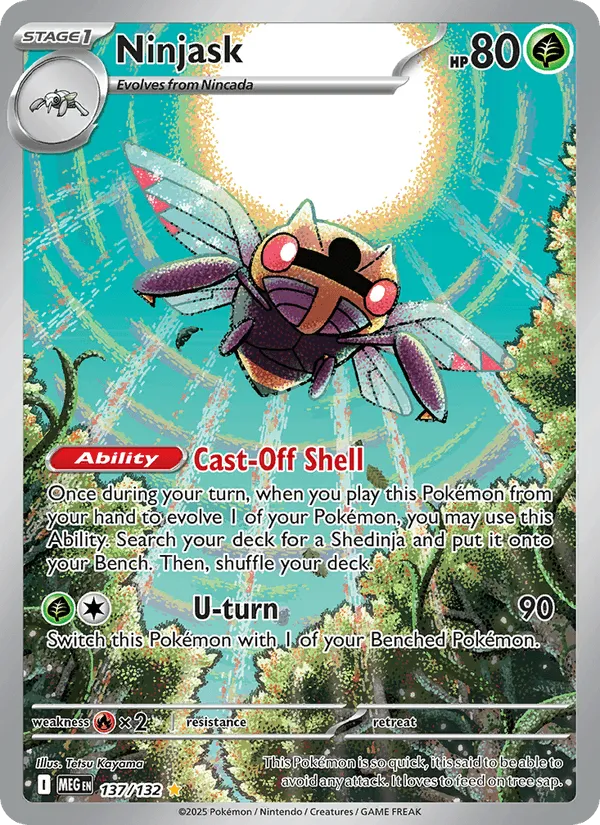 Ninjask