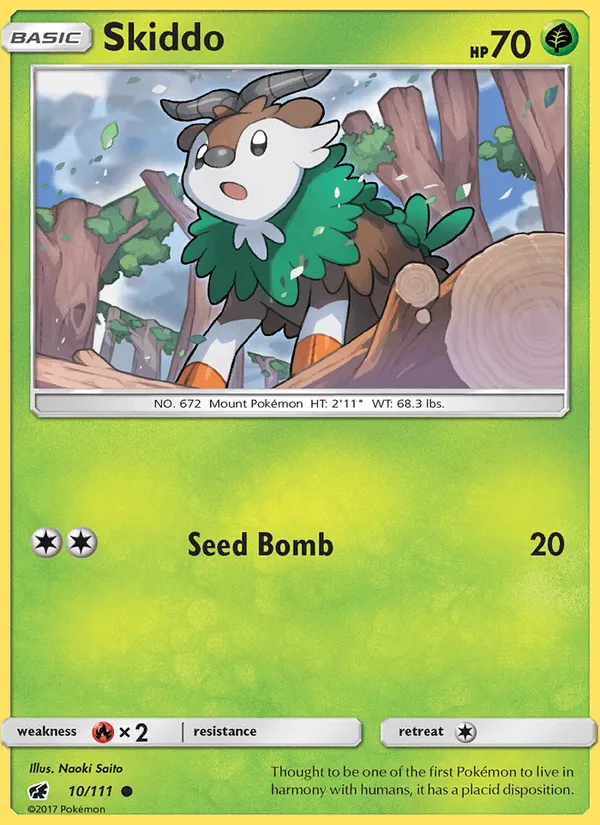 Skiddo