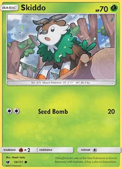 Skiddo