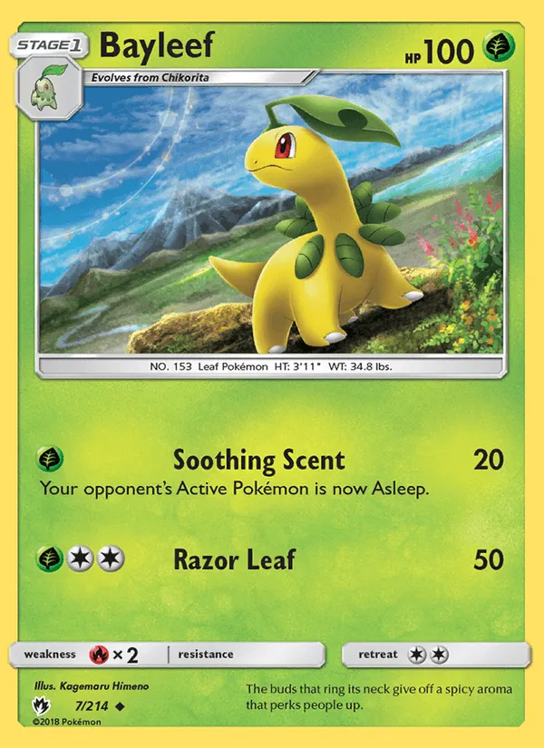 Bayleef