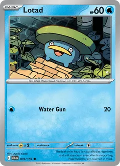 Lotad