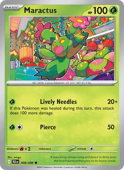 Maractus