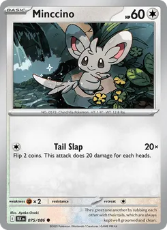 Minccino