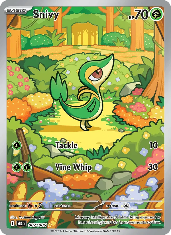 Snivy