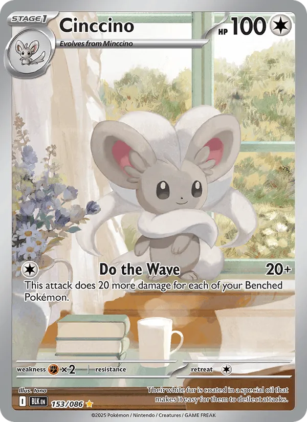 Cinccino