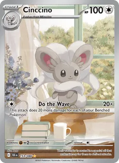 Cinccino