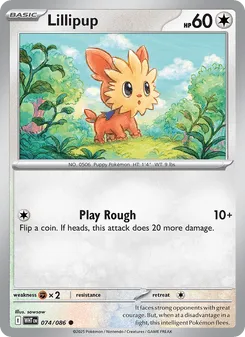 Lillipup